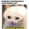 adrianaperez04